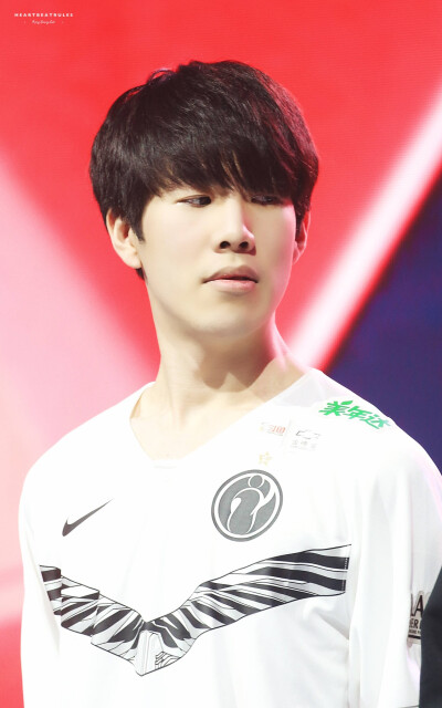 专门分析林 专门分析林