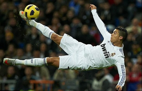 素质和不屈 素质和不屈