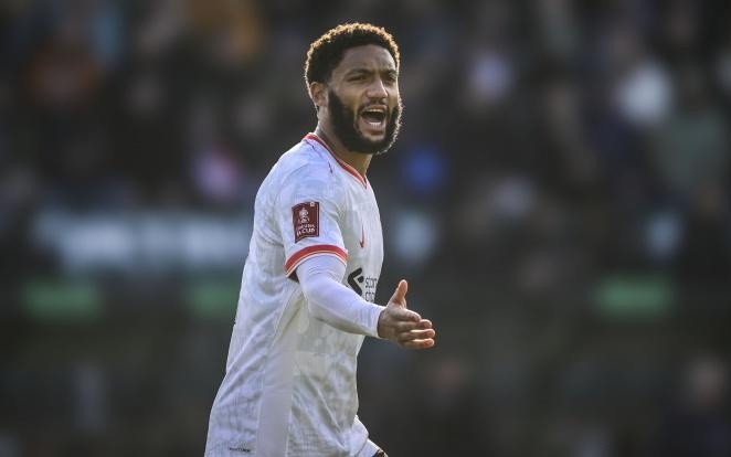 的刚性执行 的刚性执行